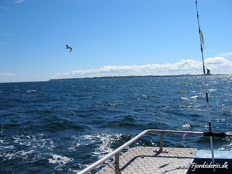 Fisketur med Emil 18.JPG